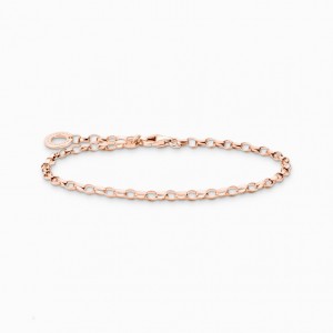 Thomas Sabo Charm Bracelet Naramok Damske Ruzove Zlate Strieborne | SK-12EHCQRKT