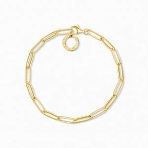 Thomas Sabo Charm Bracelet Naramok Damske Žlté Zlate Strieborne | SK-61YGUAFVZ