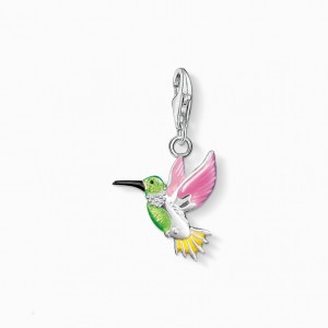 Thomas Sabo Charm Pendant Colourful Hummingbird Prívesky Damske Strieborne | SK-18IHJXUBY