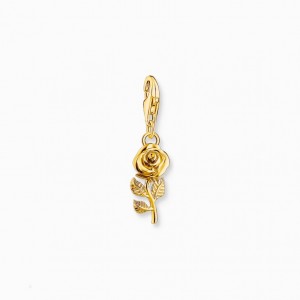 Thomas Sabo Gold-Plated Charm Pendant In Rose Design Prívesky Damske Žlté Zlate Strieborne | SK-30OAXDMWQ