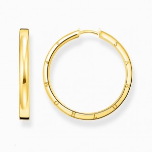 Thomas Sabo Hoop Earrings Large Gold Visiace Nausnice Damske Žlté Zlate Strieborne | SK-85CMGEIXQ