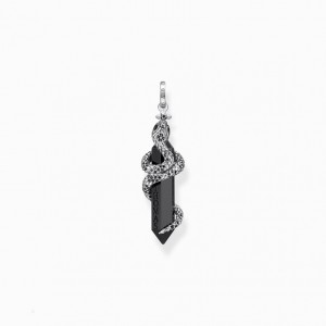Thomas Sabo Pendant Blackened Onyx With Snake Prívesky Panske Strieborne | SK-98FGLKDRN