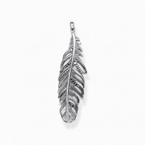 Thomas Sabo Pendant Feather Prívesky Damske Strieborne | SK-63LJYDCRU