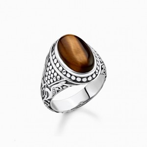 Thomas Sabo Ring Brown Prstene Panske Strieborne | SK-31EAYGBPJ