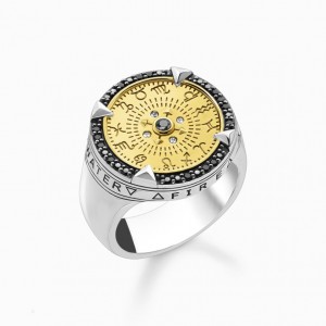 Thomas Sabo Ring Elements Of Nature Gold Prstene Panske Žlté Zlate Strieborne | SK-10NISTRBC