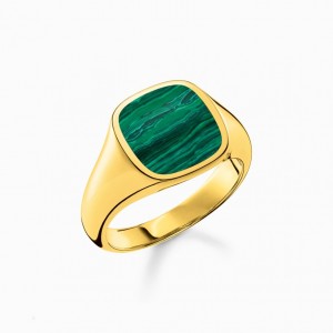 Thomas Sabo Ring Klasické Green-Gold Prstene Panske Žlté Zlate Strieborne | SK-15DMQYUNV