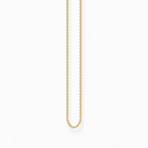 Thomas Sabo Yellow-Gold Plated Fine Anchor Chain Nahrdelnik Damske Žlté Zlate Strieborne | SK-62CIMJPLY
